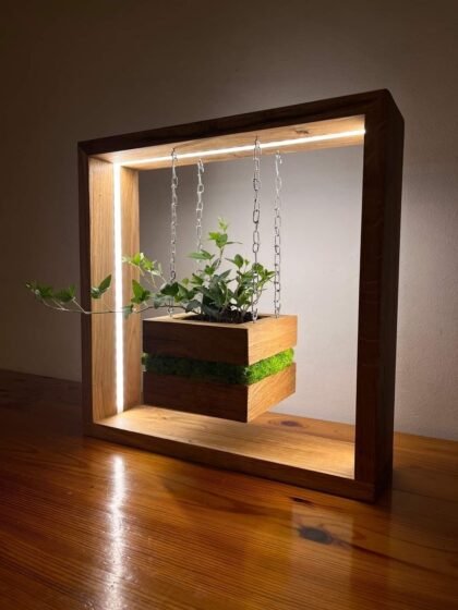 Plant in a light box